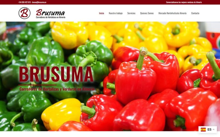 Portada de la web de Brusuma