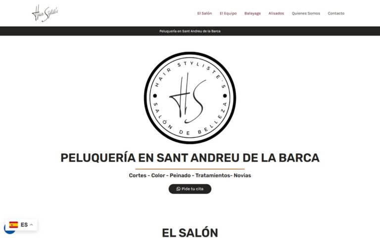 Portada de la web de Hair Stylistes